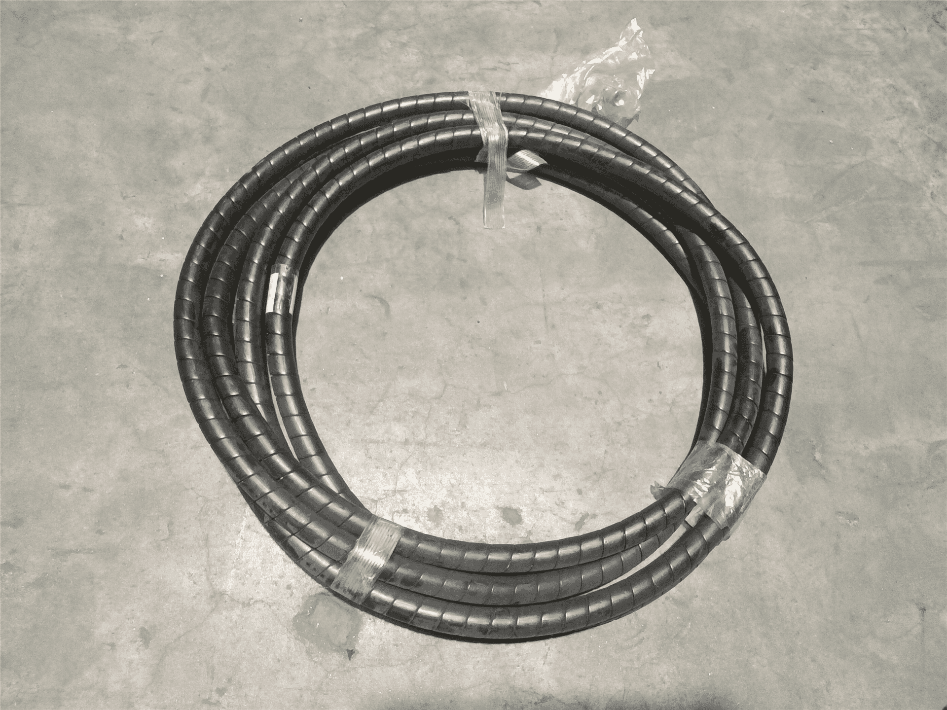 NEW HOSE image 2