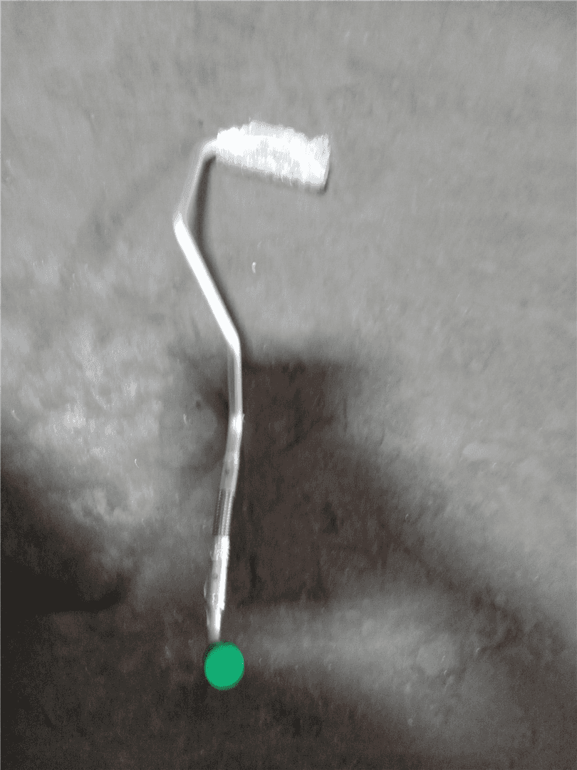 NEW HOSE image 2