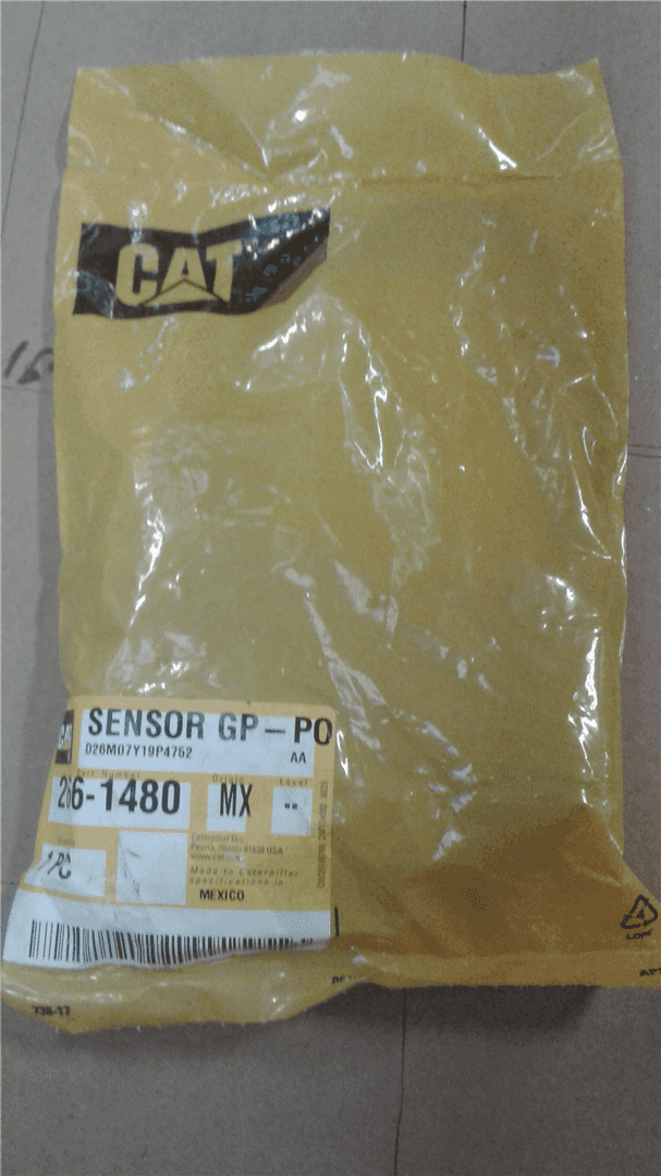 NEW SENSOR image 2