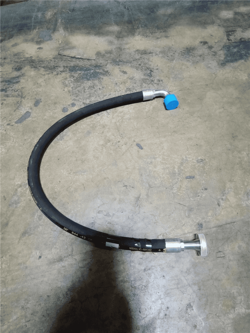 NEW HOSE image 2