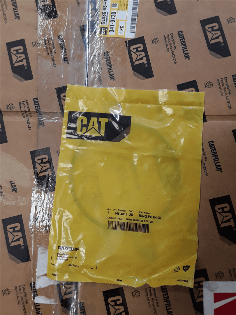 NEW RING-PSTN-OI image 2