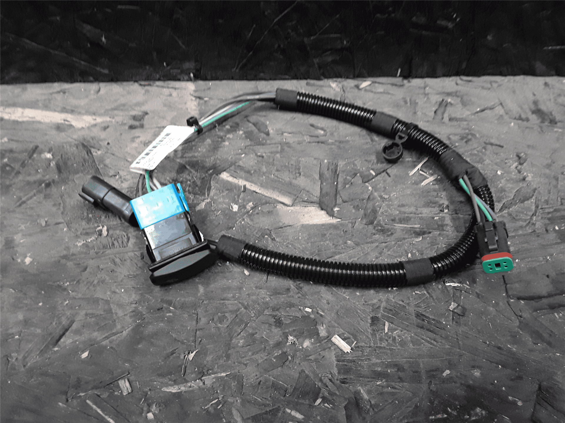 NEW HARNESS image 4