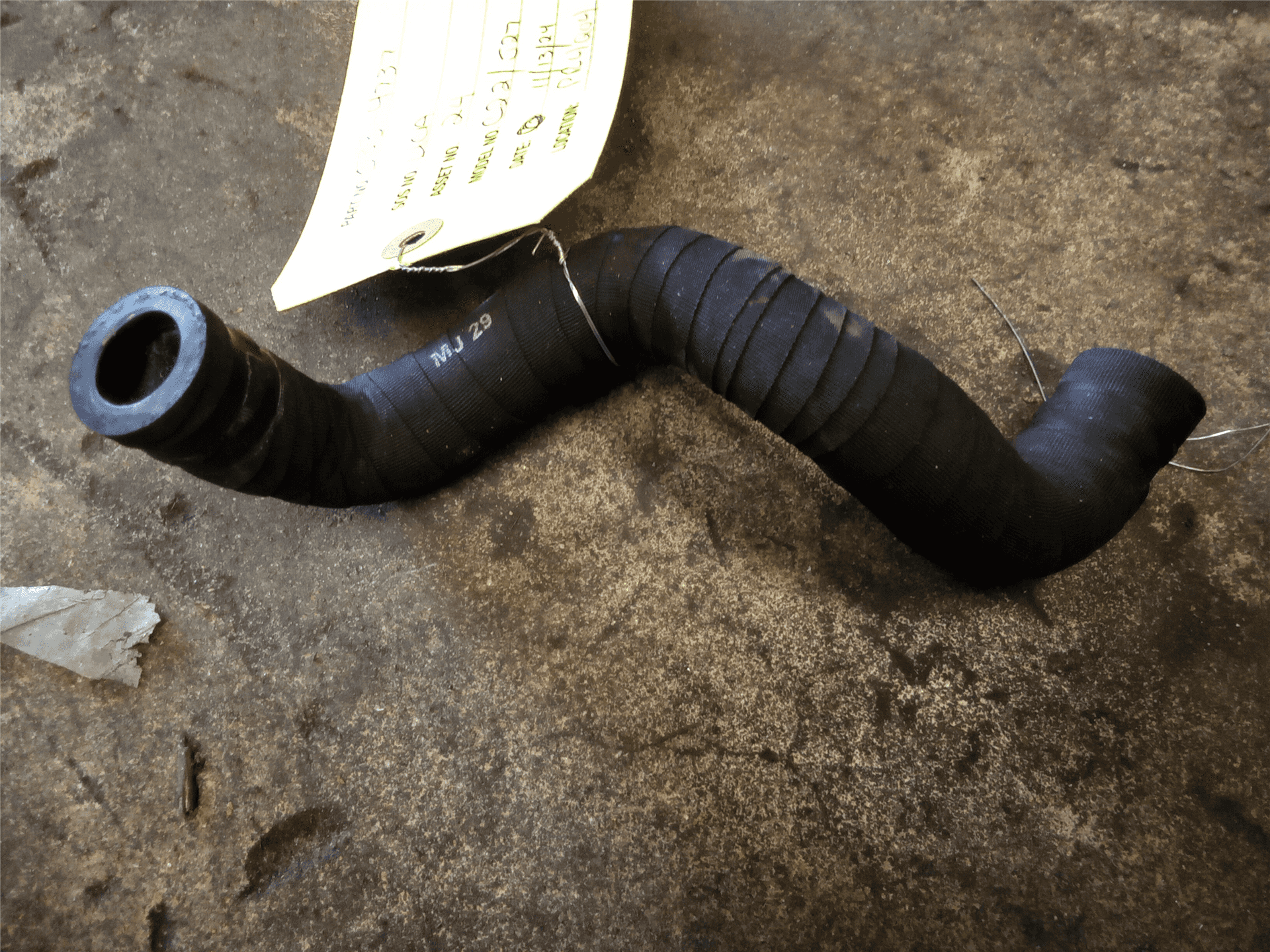 NEW HOSE image 2