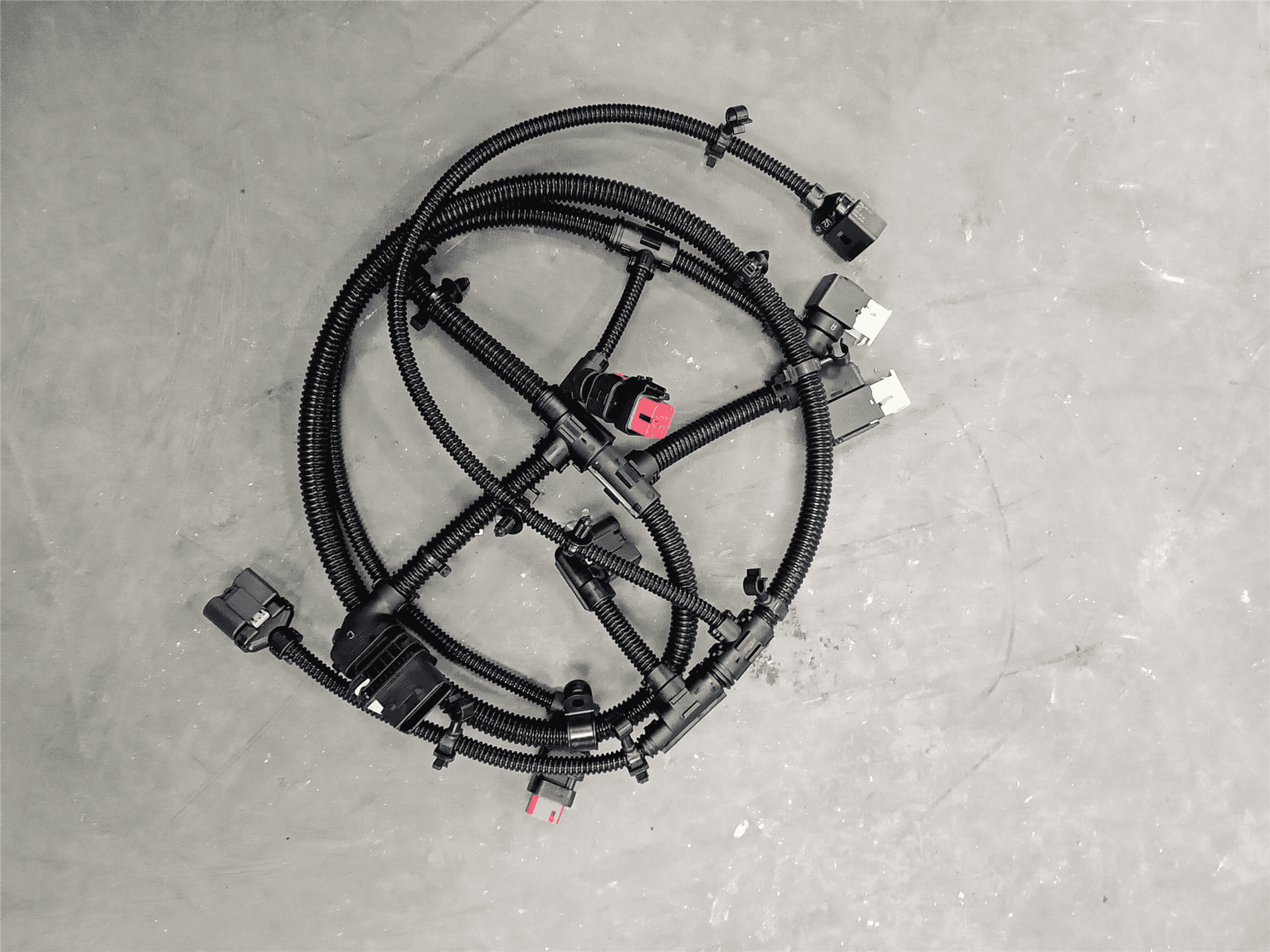NEW HARNESS indicator image 1