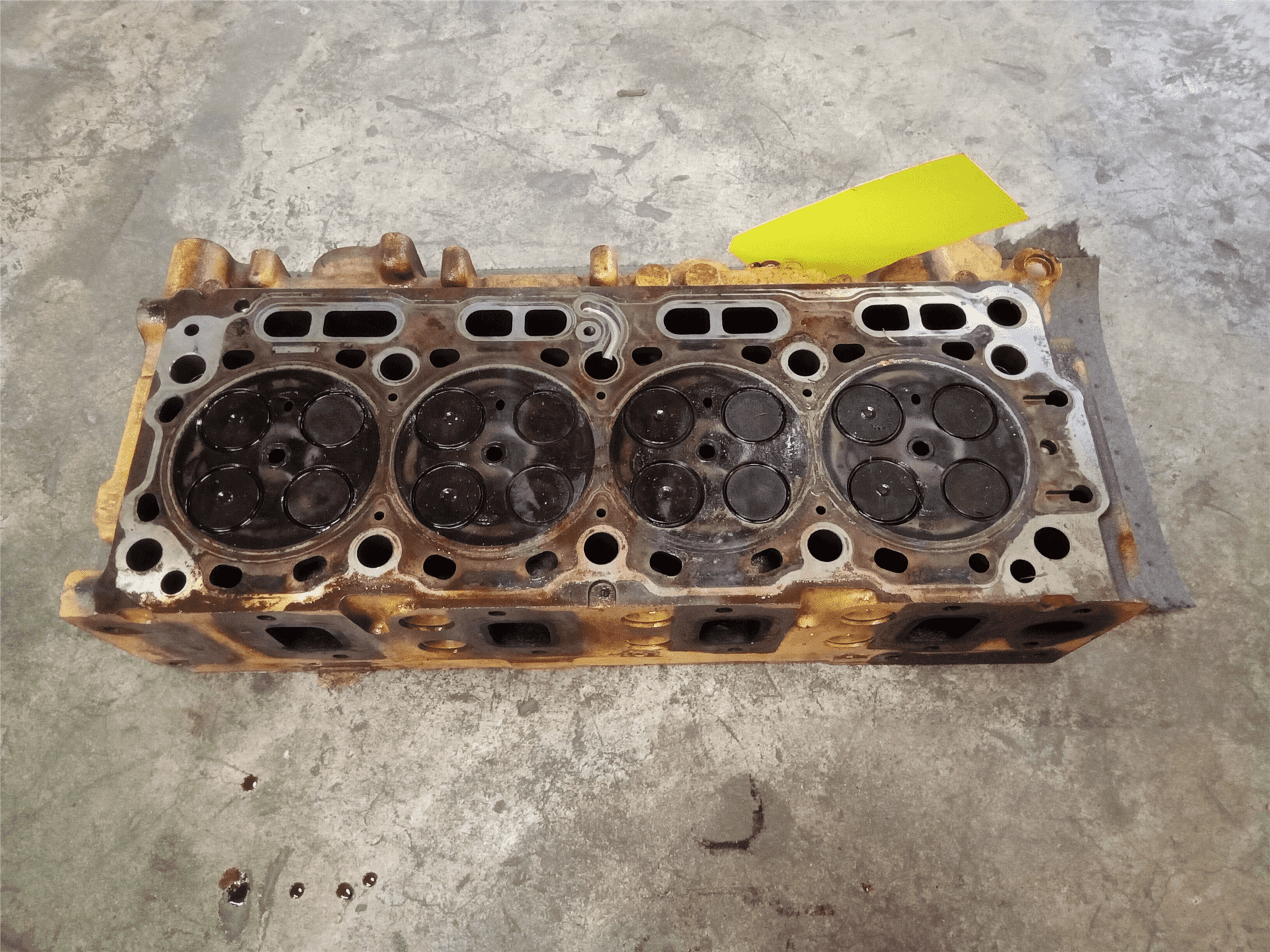 CORE HEAD GP image 2