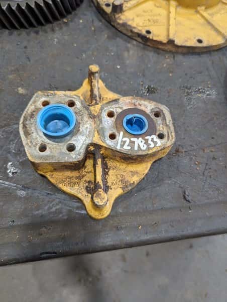 Manifold image