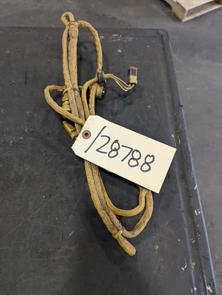 Harness As-s image