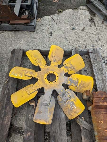 Fan Spider image