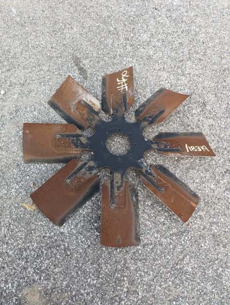 Spider AS image