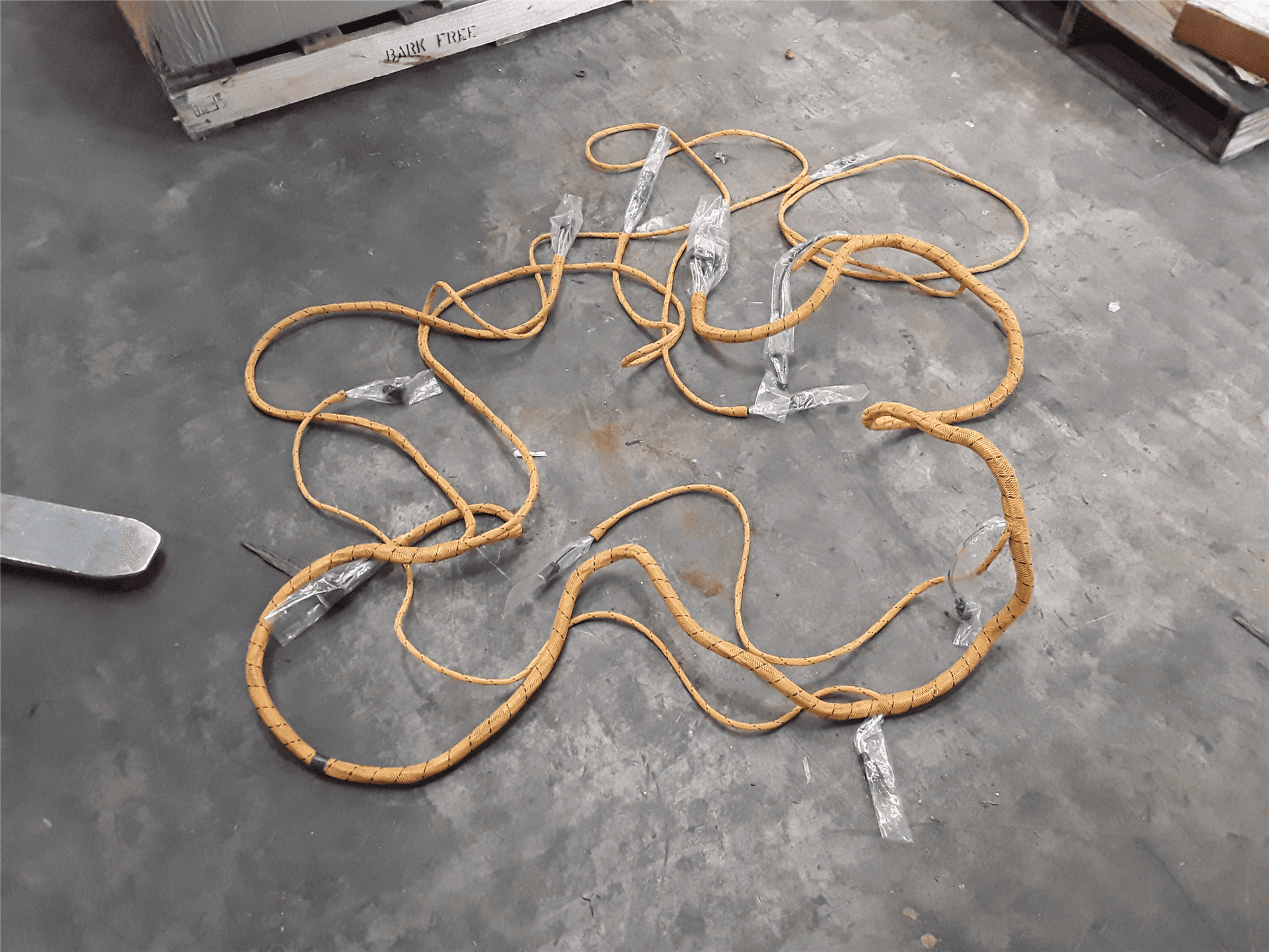 NEW HARNESS AS image