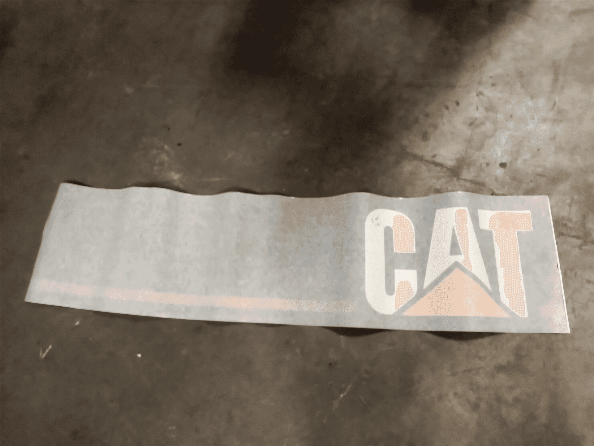 NEW FILM CAT image