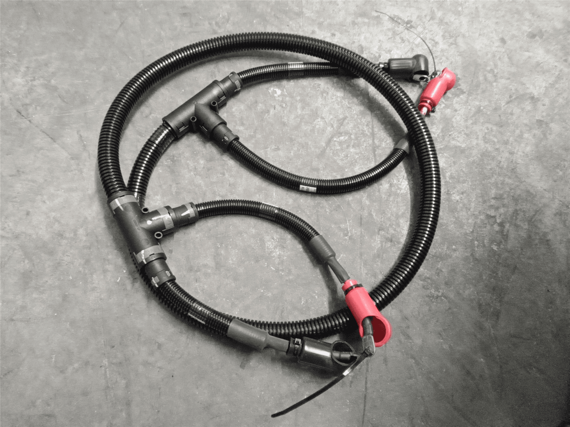 NEW HARNESS image