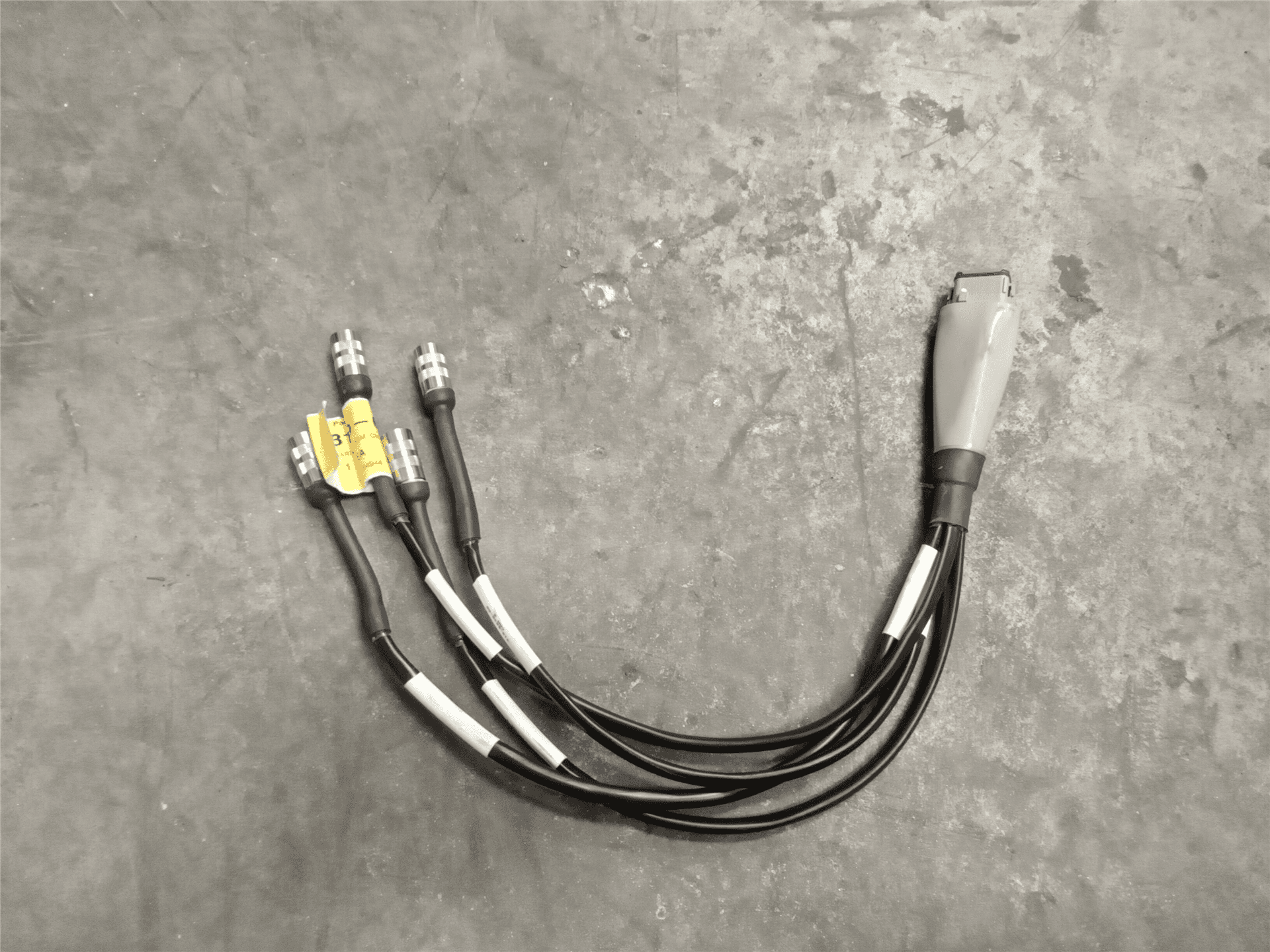 NEW HARNESS image
