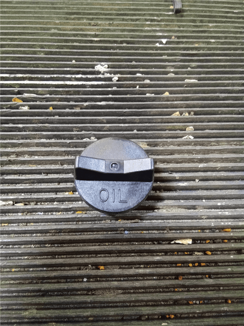 NEW PLUG image