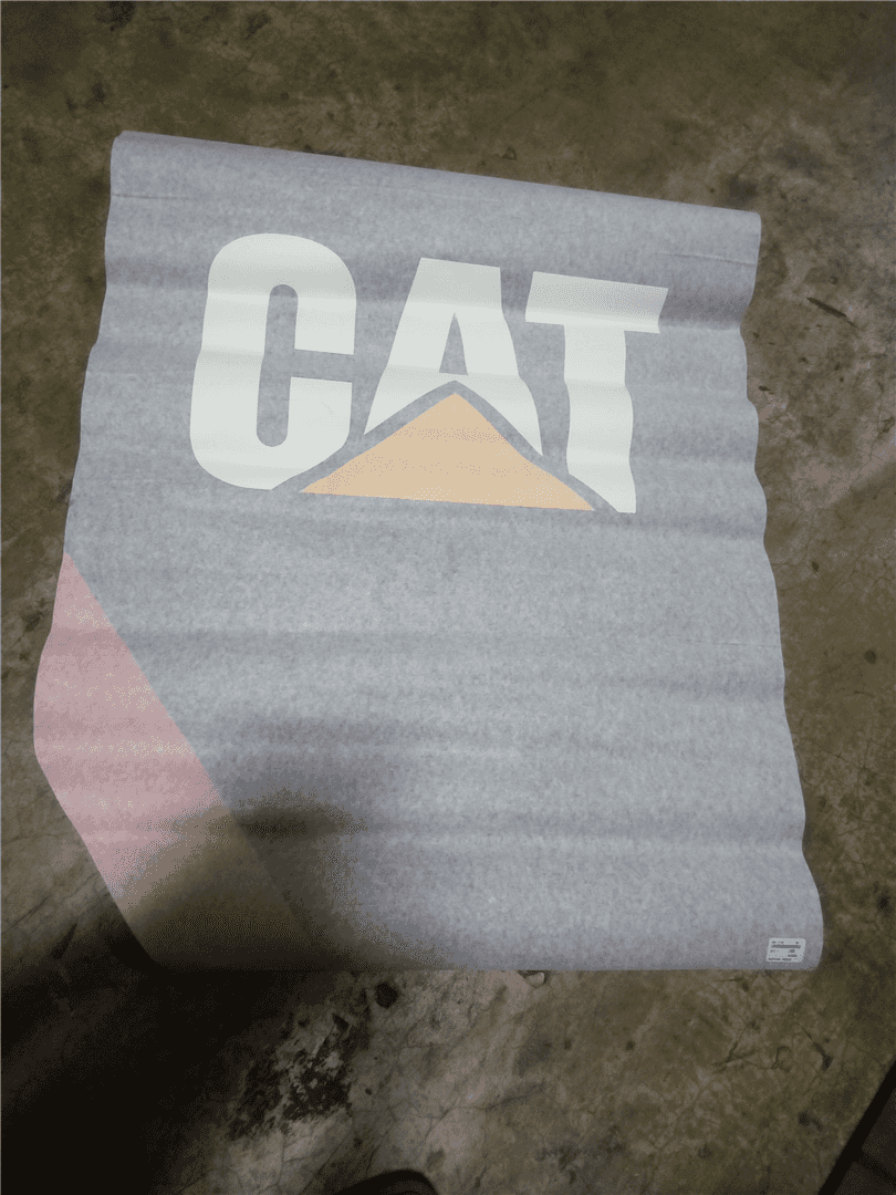 NEW RH CAT FILM image