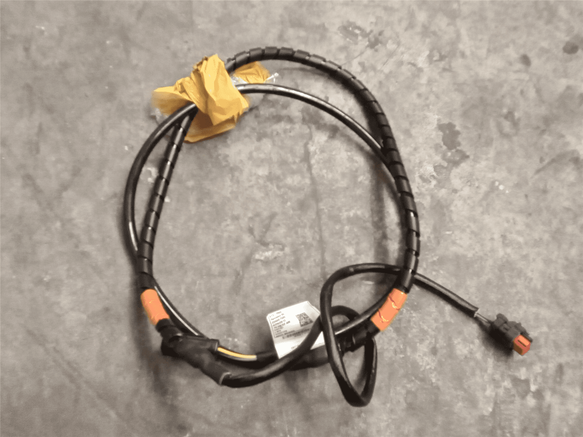 NEW HARNESS image