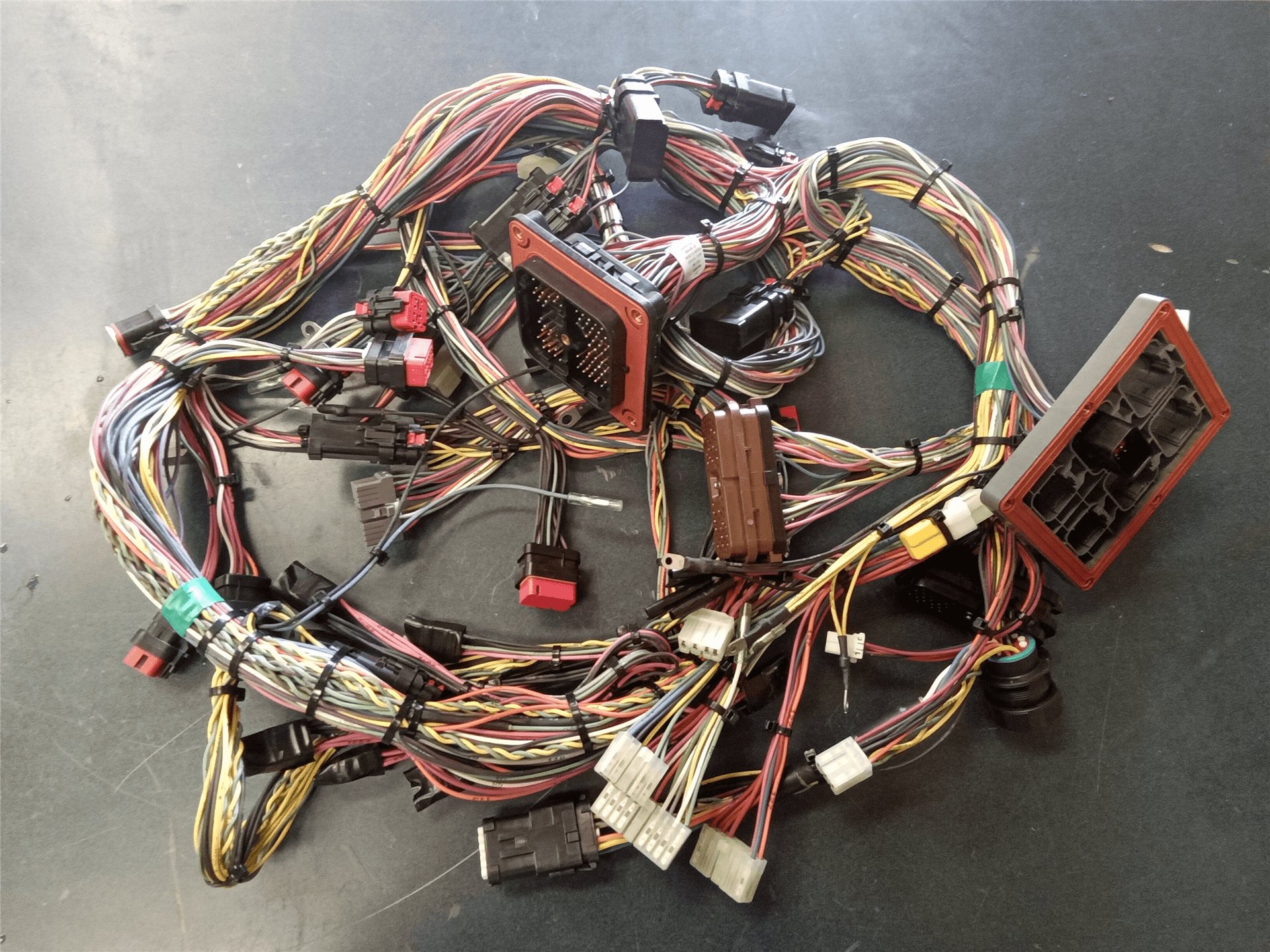NEW HARNESS image