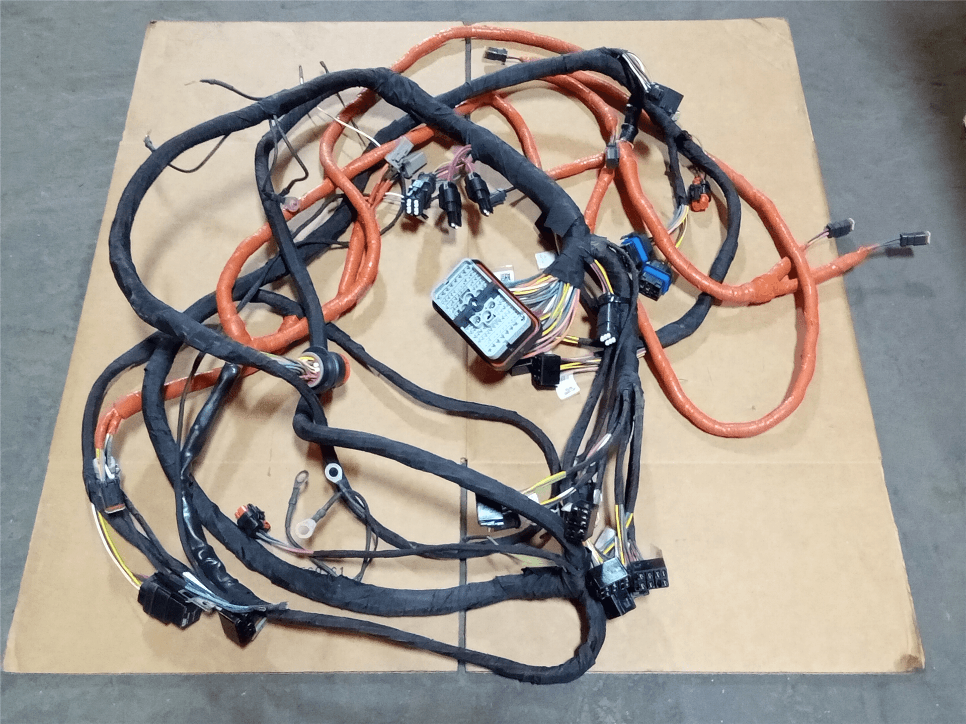 NEW HARNESS image
