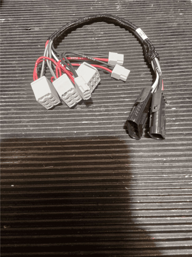HARNESS image
