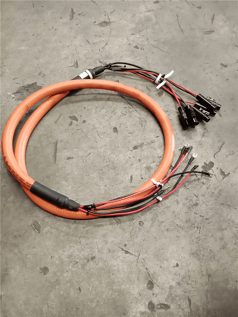 NEW HARNESS image