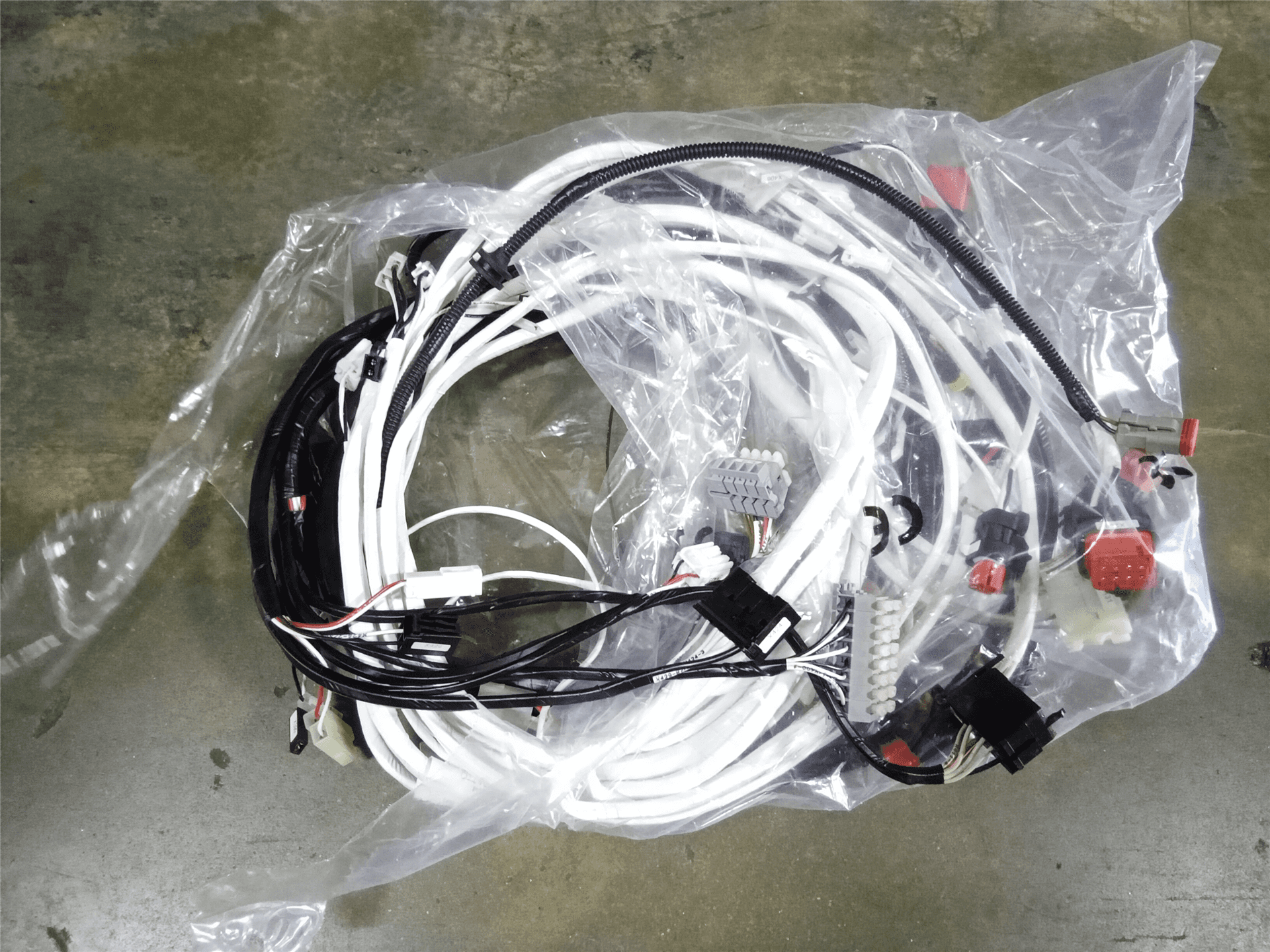 NEW HARNESS image
