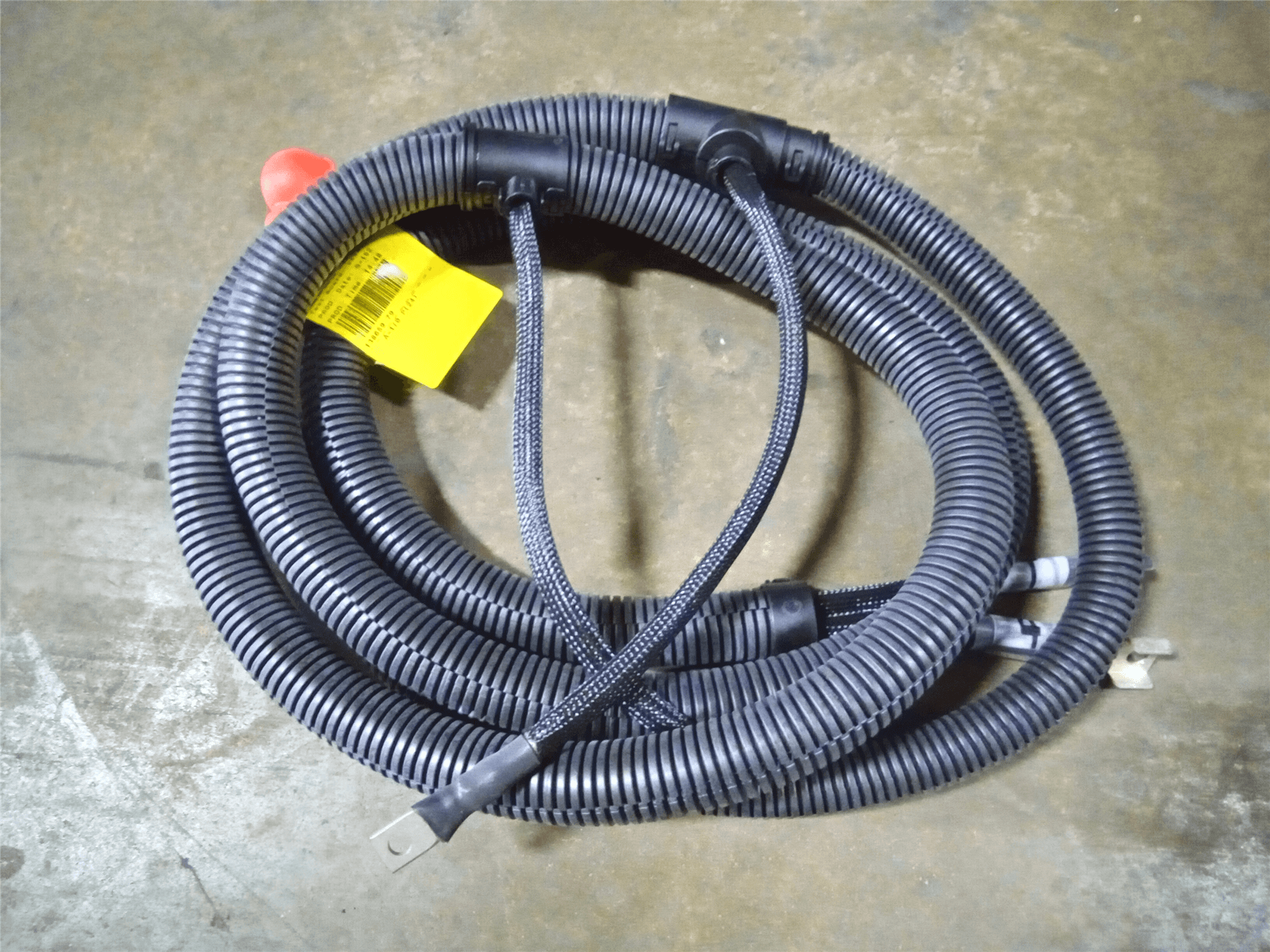 NEW HARNESS image
