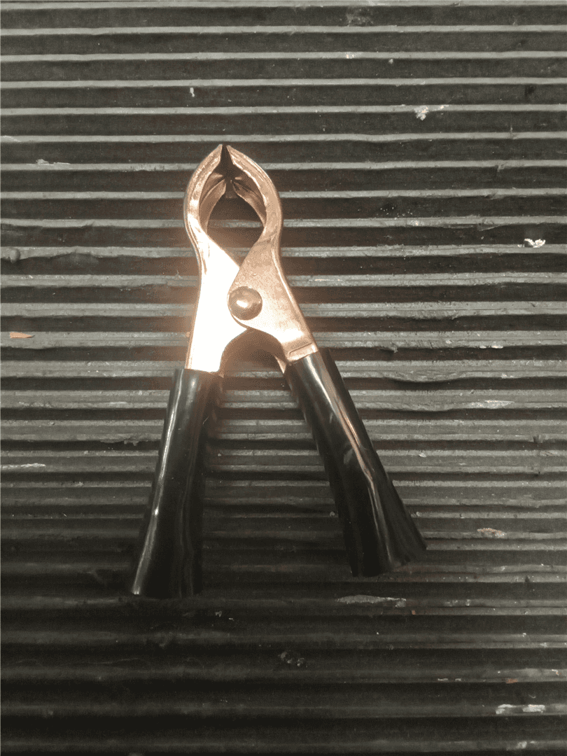 NEW TEST CLIP image
