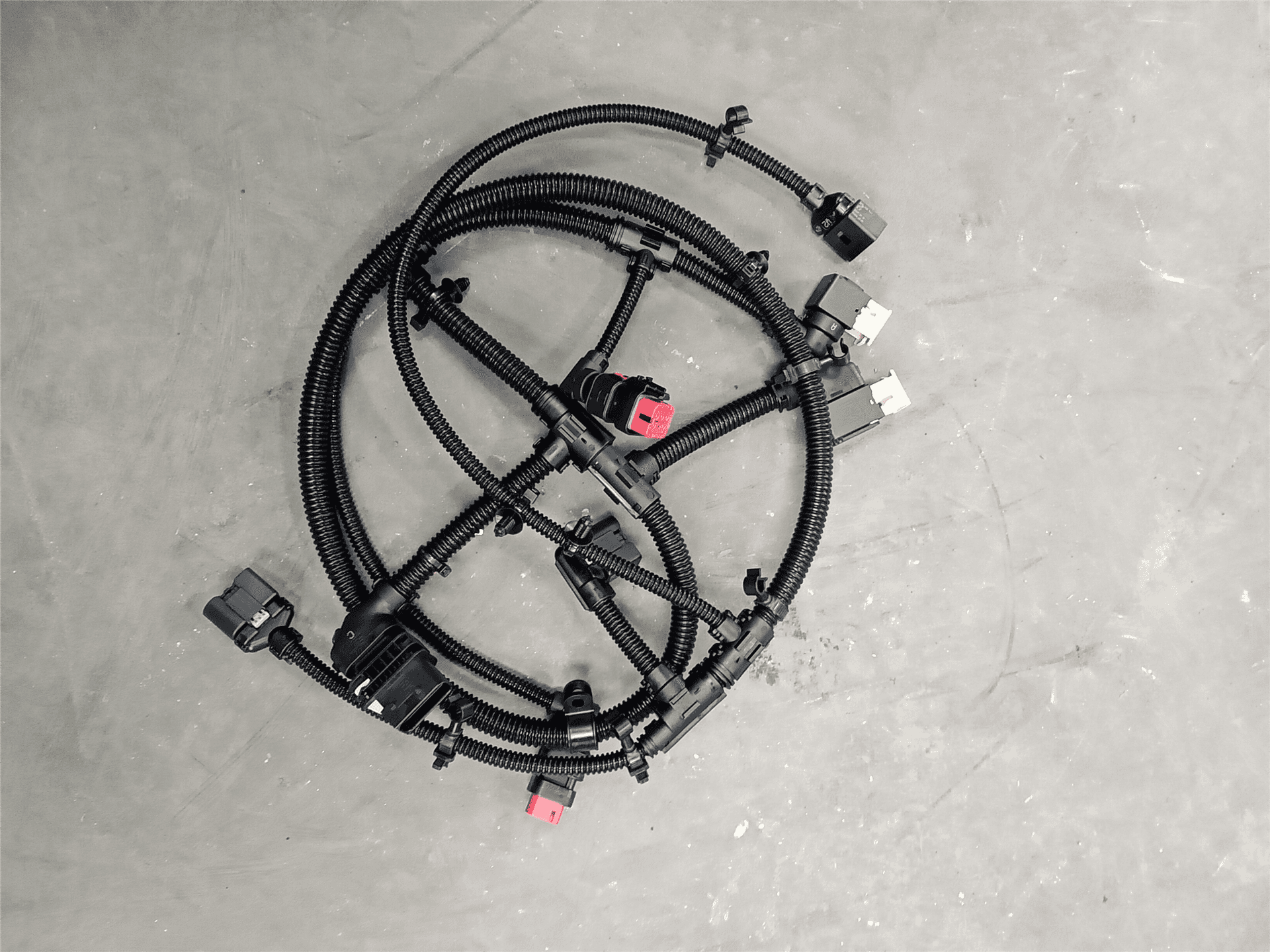 NEW HARNESS image