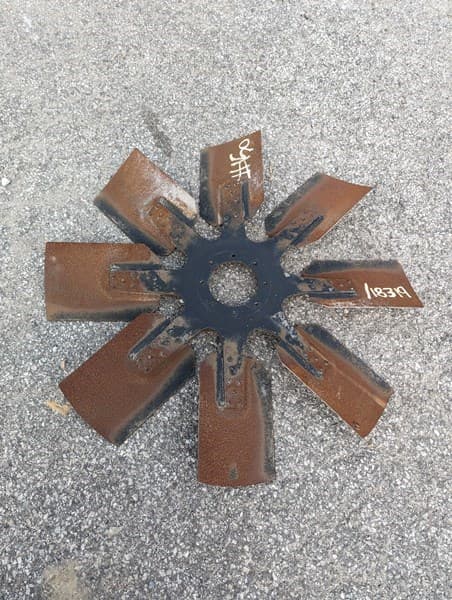 Spider AS image 1