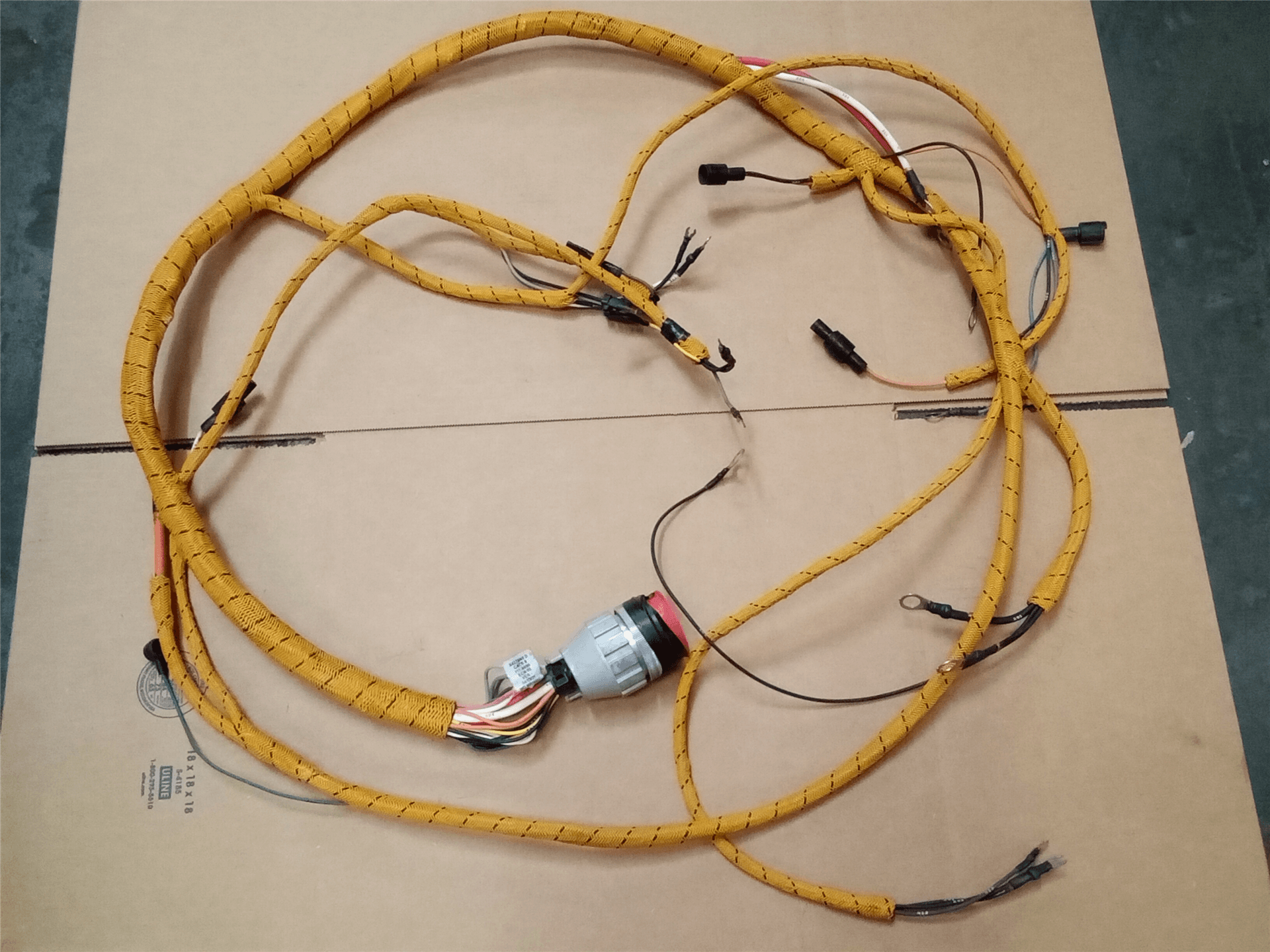 NEW HARNESS image 1