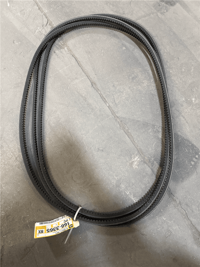 NEW BELT image 1