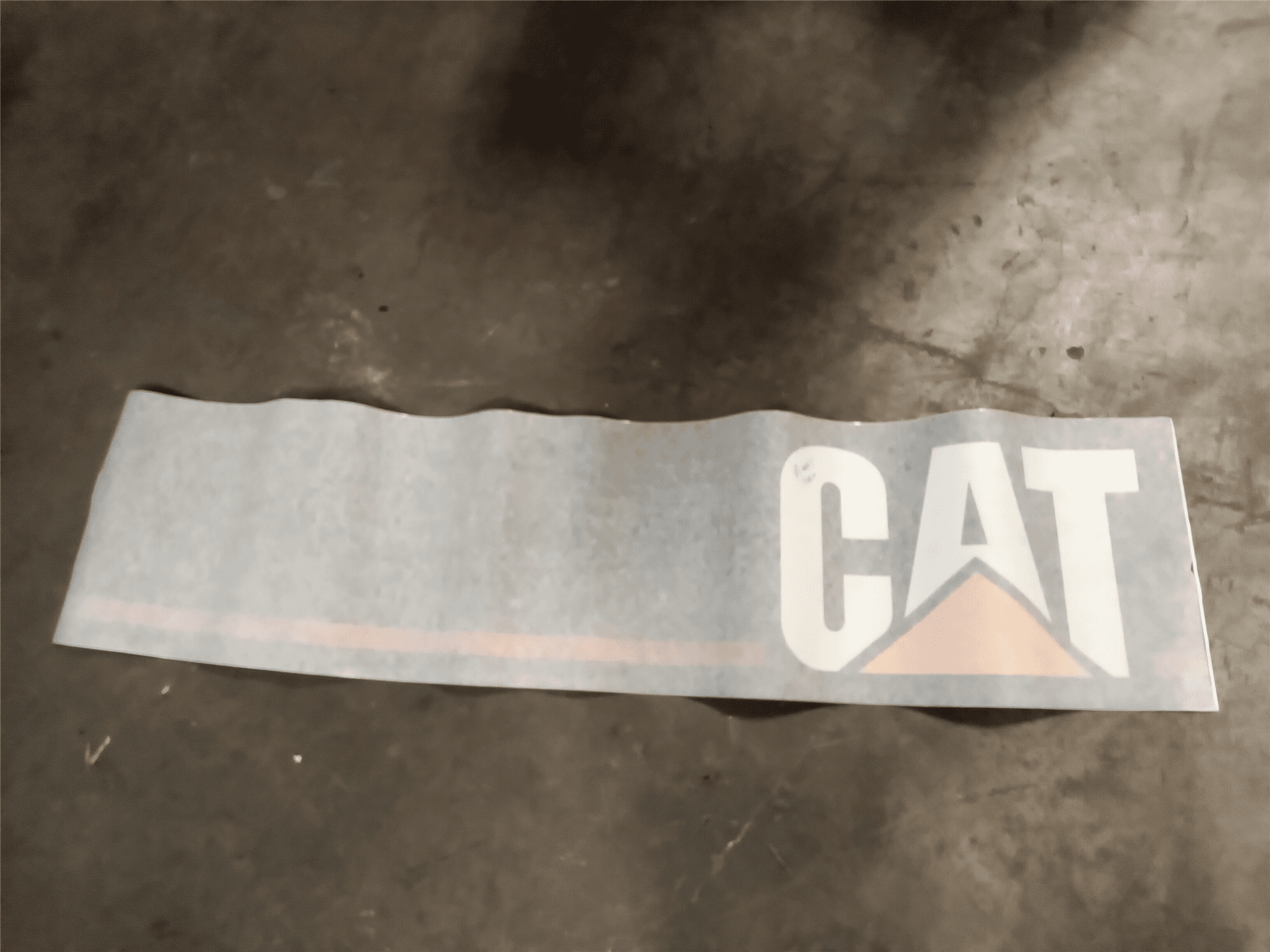 NEW FILM CAT image 1