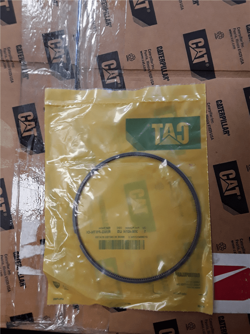 NEW RING-PSTN-OI image 1