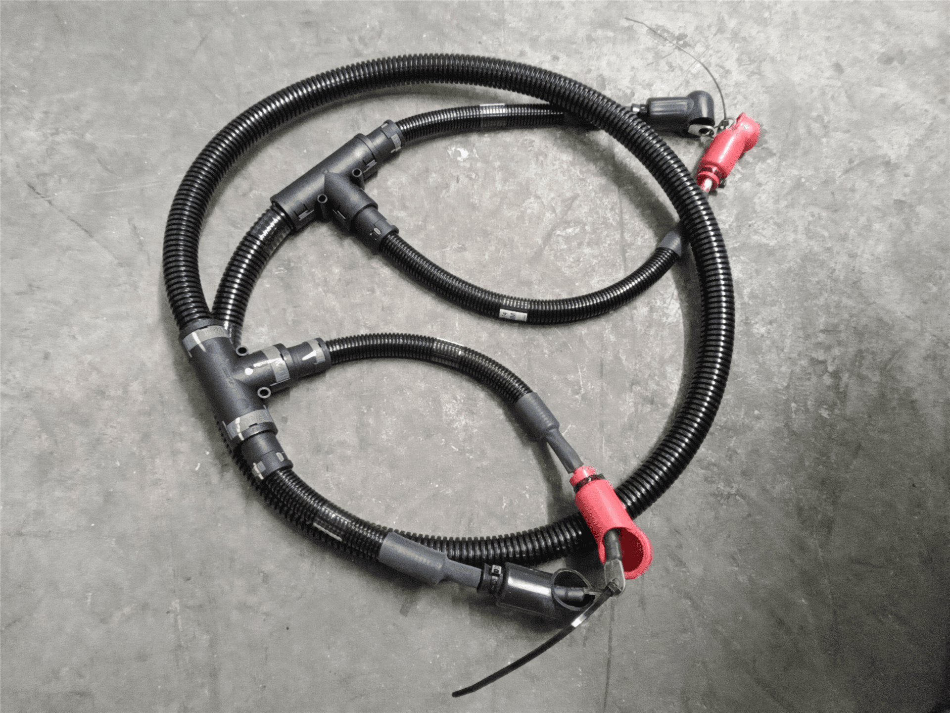 NEW HARNESS image 1