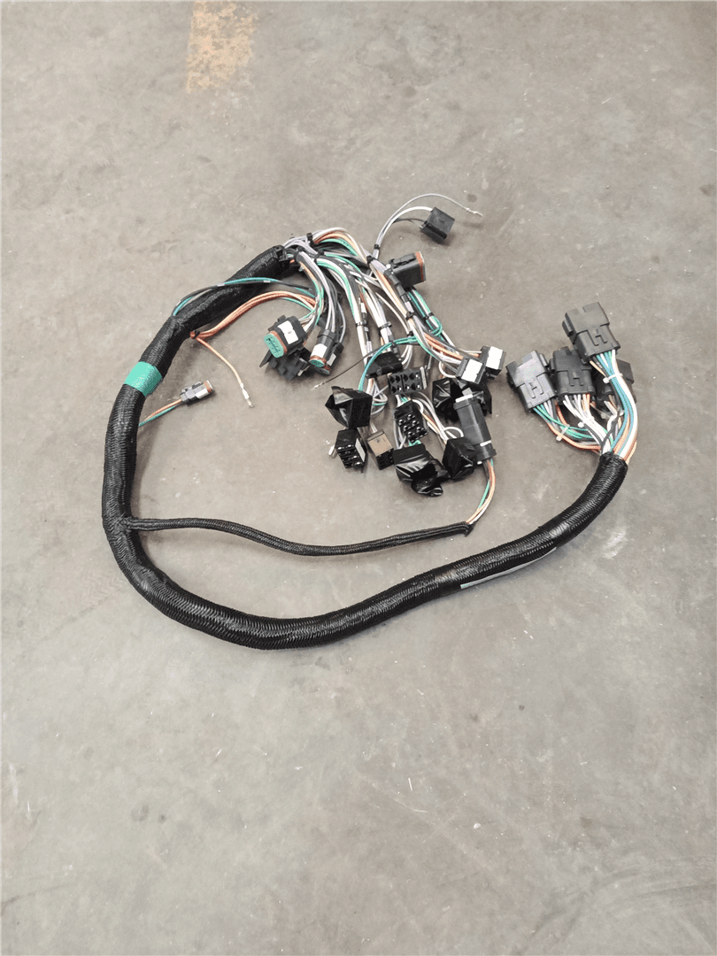 NEW HARNESS image 1