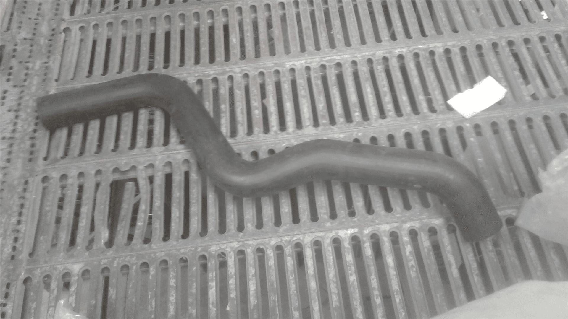 NEW HOSE-RADIATO image 1