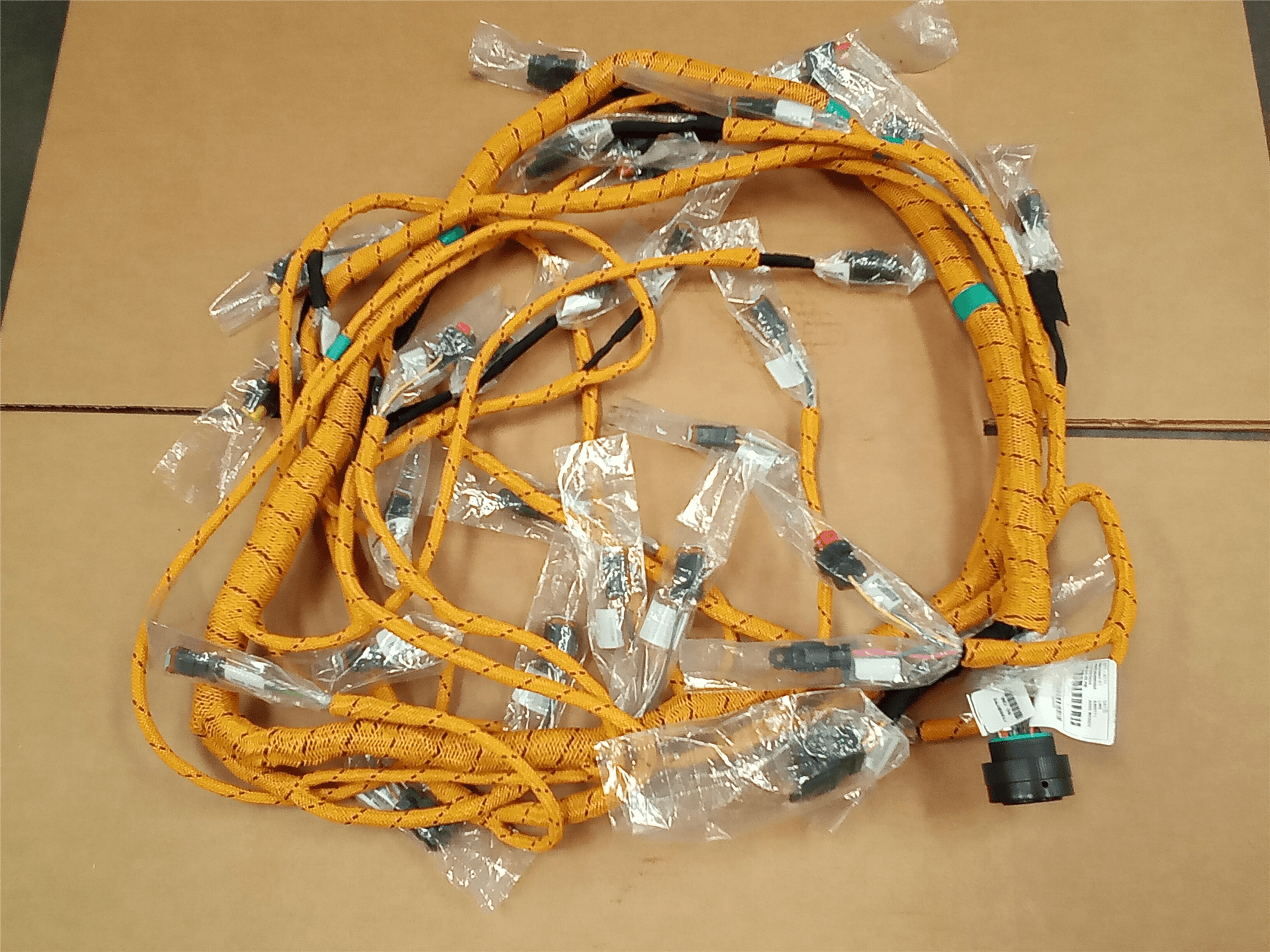 NEW HARNESS image 1