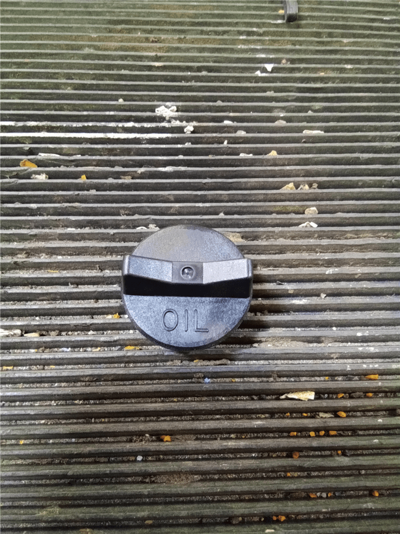 NEW PLUG image 1