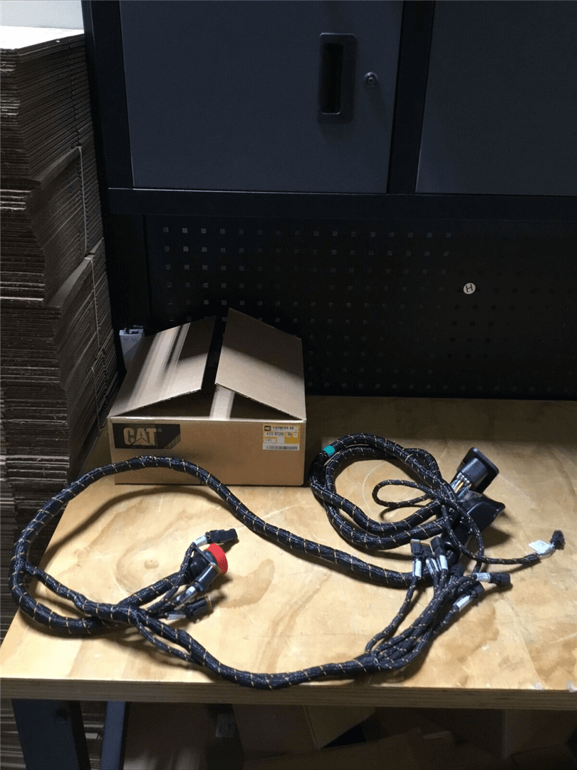 NEW HARNESS image 1