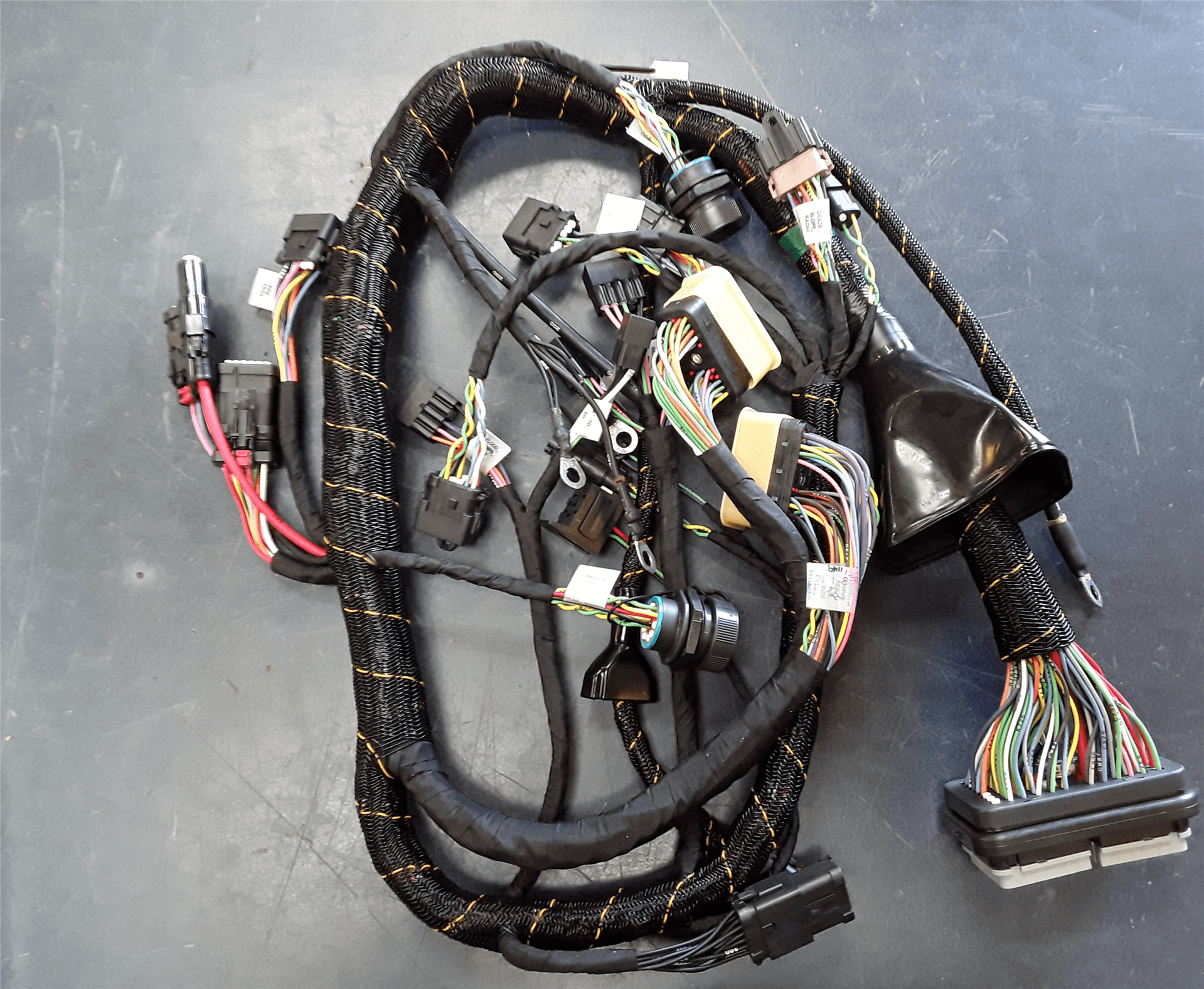 NEW HARNESS image 1