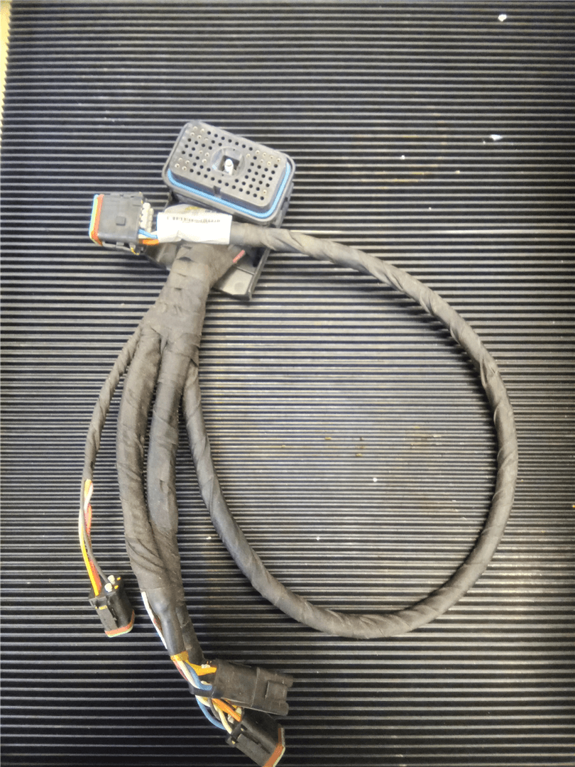 NEW HARNESS image 1