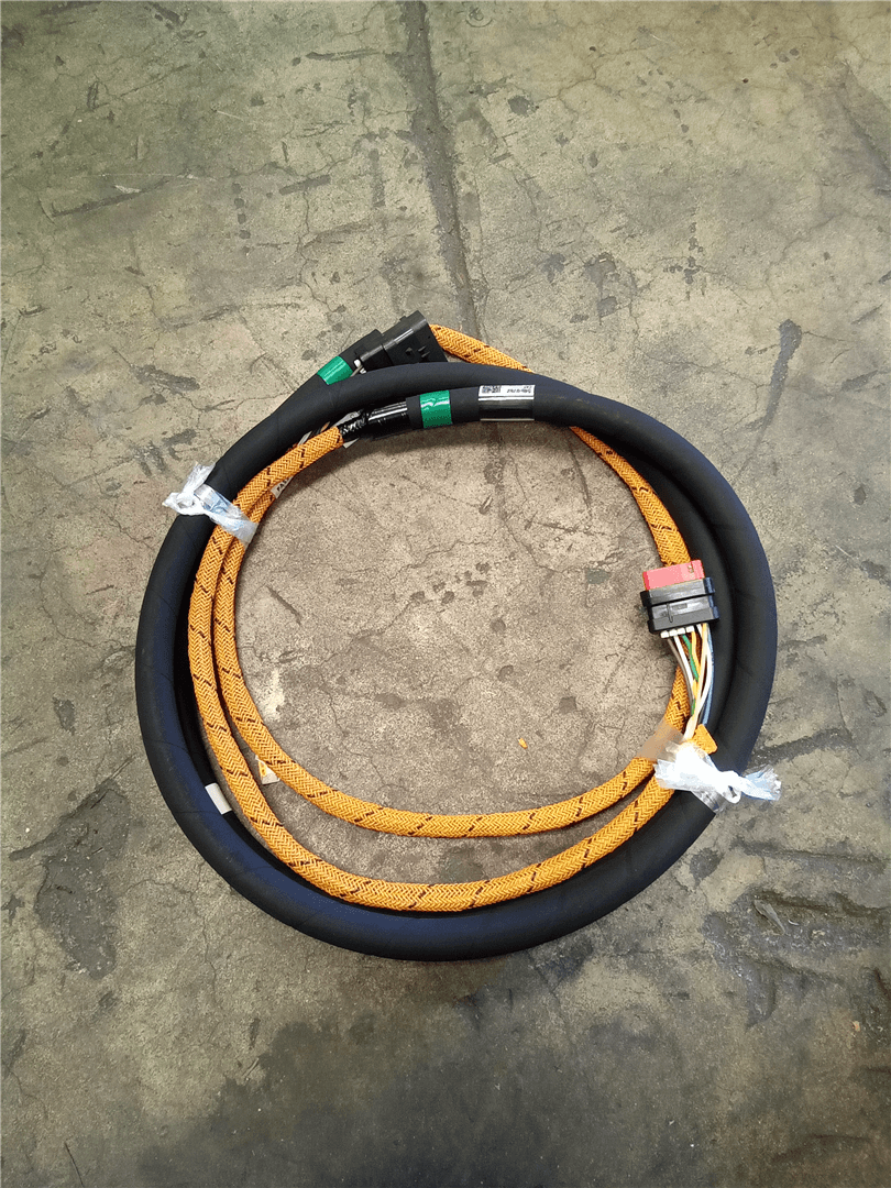 NEW HARNESS image 1