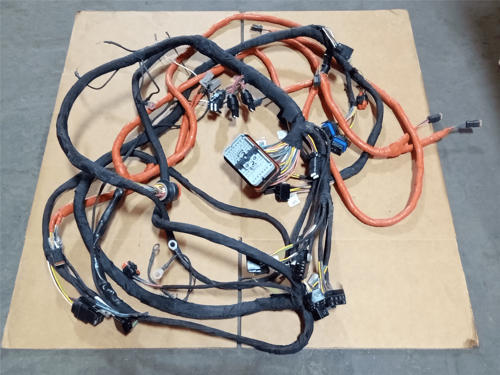 NEW HARNESS image 1