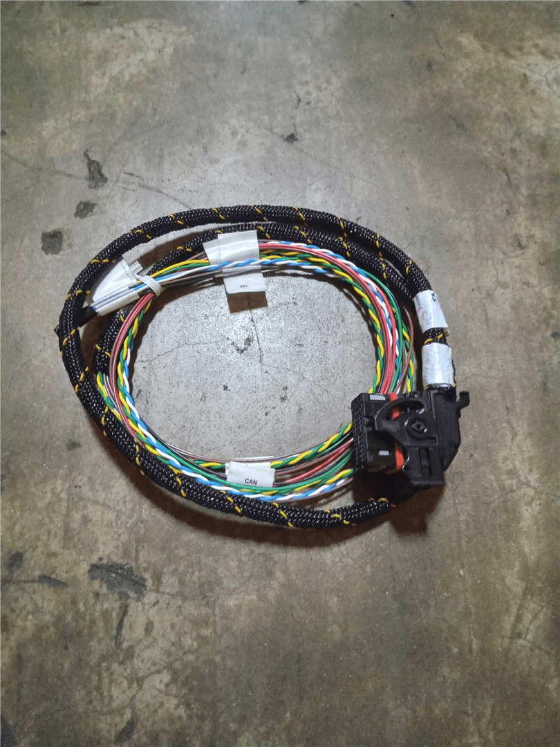 NEW HARNESS image 1