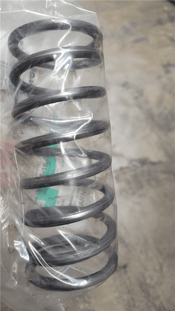 NEW SPRING image 1