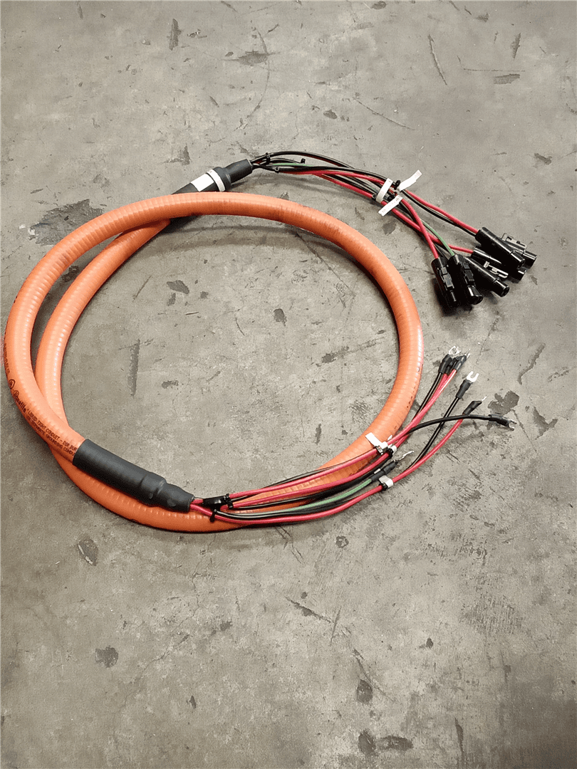 NEW HARNESS image 1