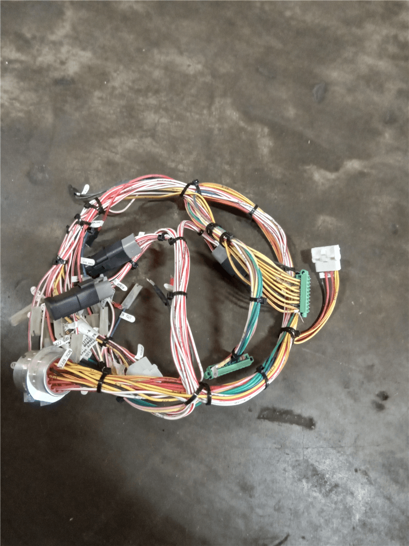 NEW HARNESS image 1
