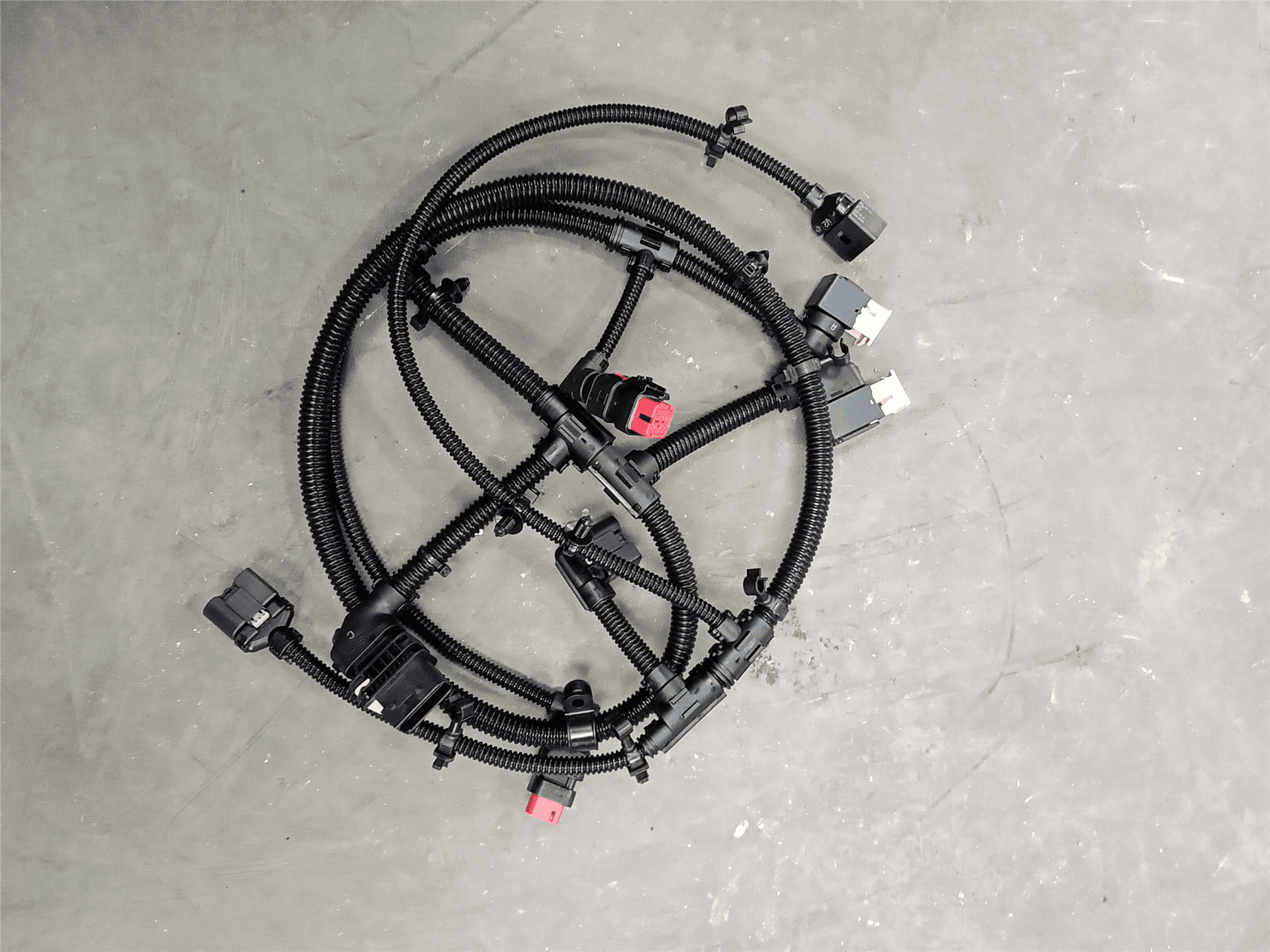 NEW HARNESS image 1