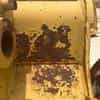 USED 54" SD BU (MEASURE PIN HOLES FOR LNKG) NO MARKINGS MQ image 7